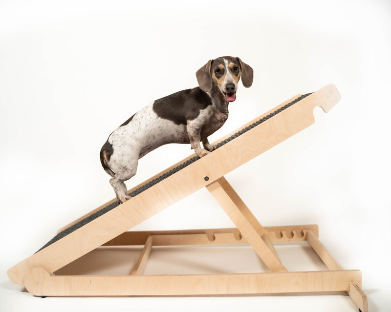 Portable Dog Ramp