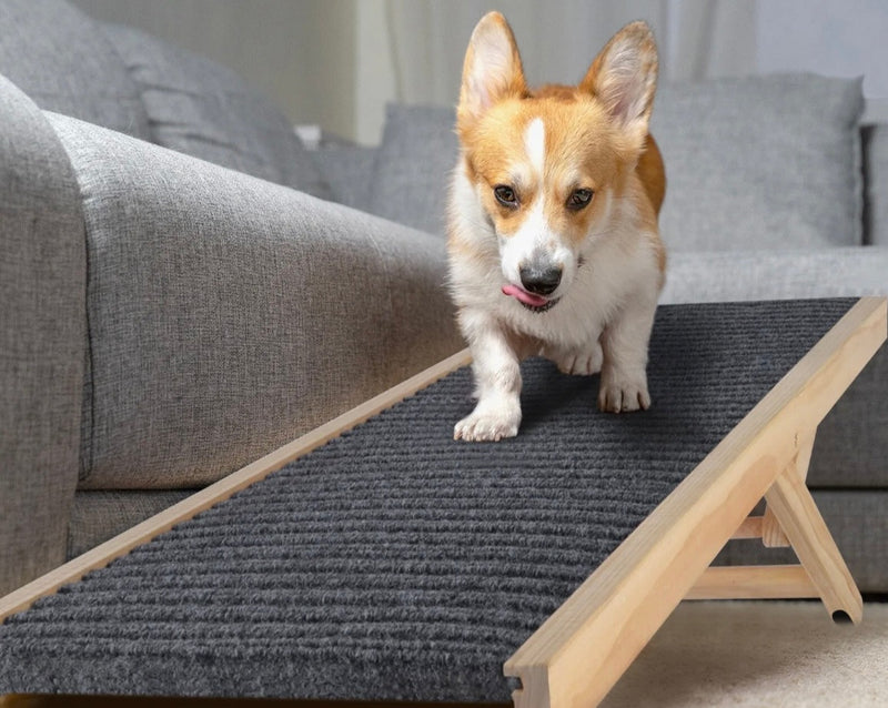 Portable Dog Ramp