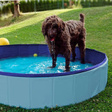 Paws Porta-Pool