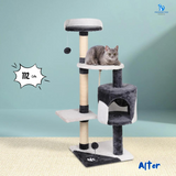 Cat Scratch Tower Range