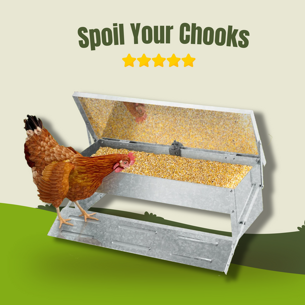 Automatic Chicken Feeder