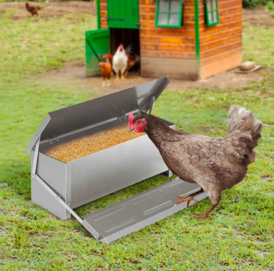 Automatic Chicken Feeder