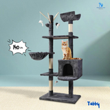 Cat Scratch Tower Range