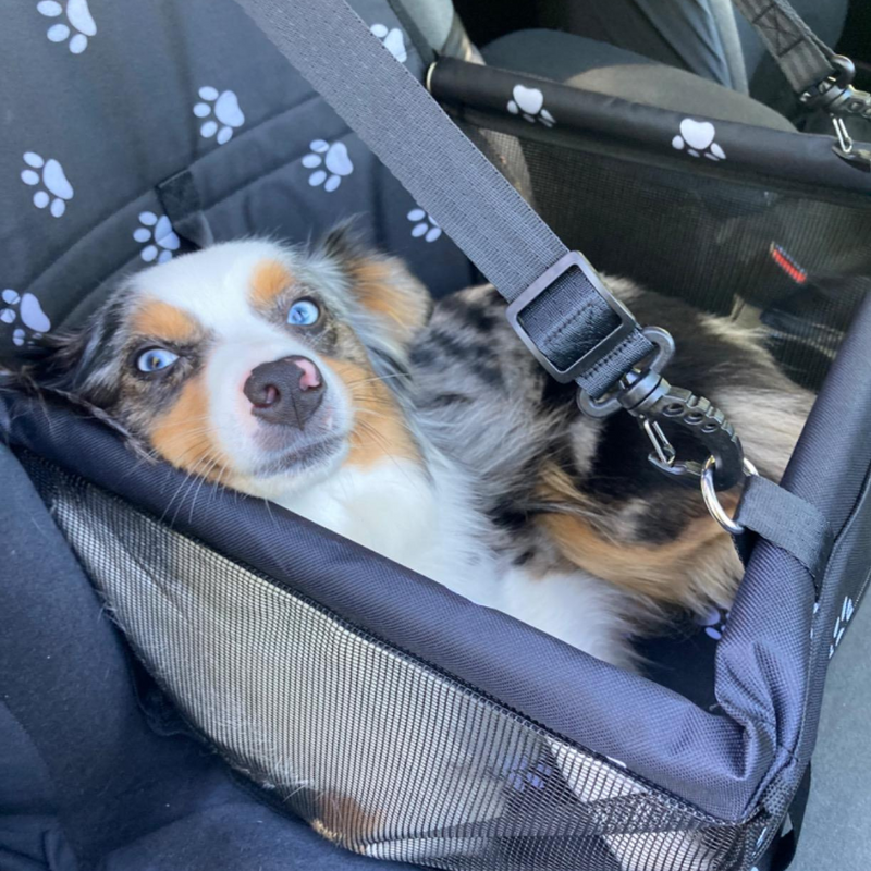 PetPilot Car Booster Seat