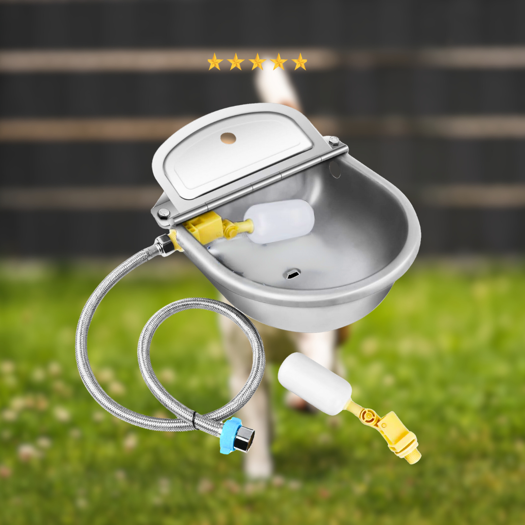 HydroPaws - Automatic Stainless Steel Bowls