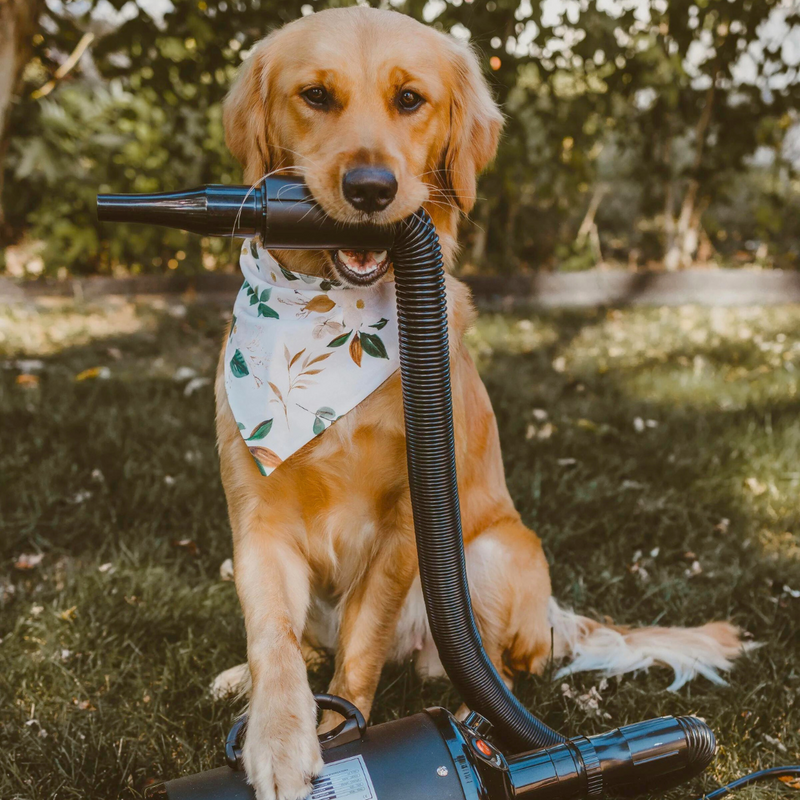 Premium Grooming Machine