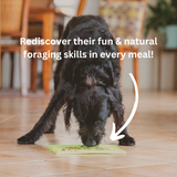 Dog Lick Mat (Slow Feeder)