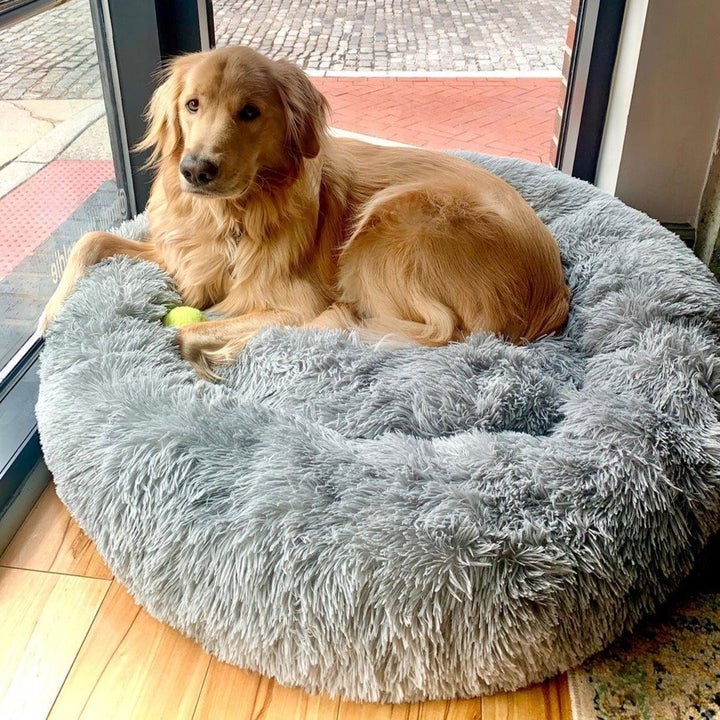 Premium Dog Calming Bed