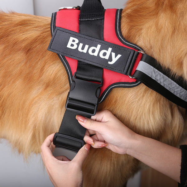 No Pull Dog Harness